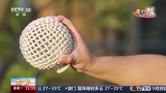 现在成了全球学者的“百科全书”